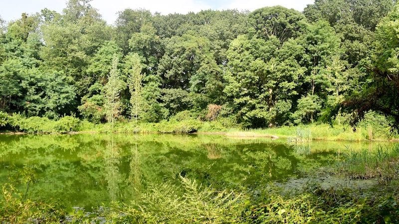 Forest Park - Woodhaven, NY