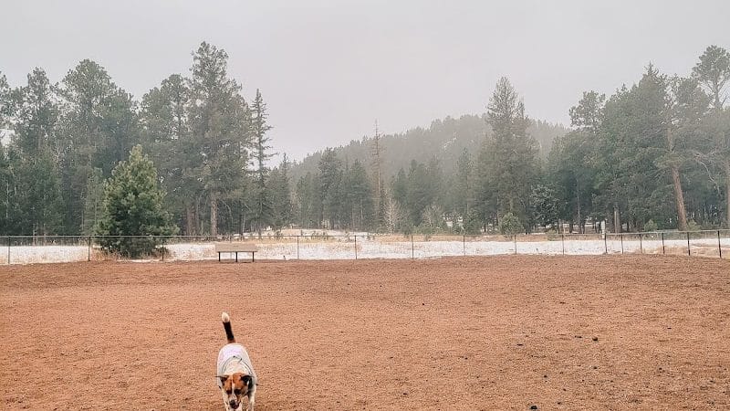 Golden Meadows Dog Park - Woodland Park, CO