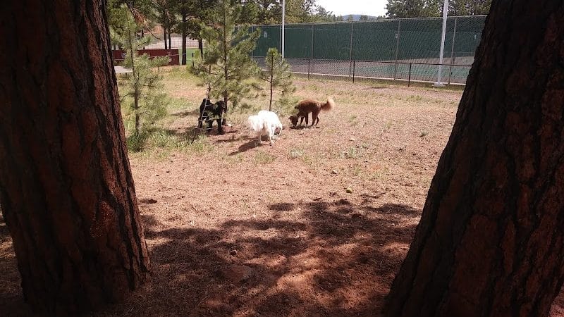 Golden Meadows Dog Park - Woodland Park, CO