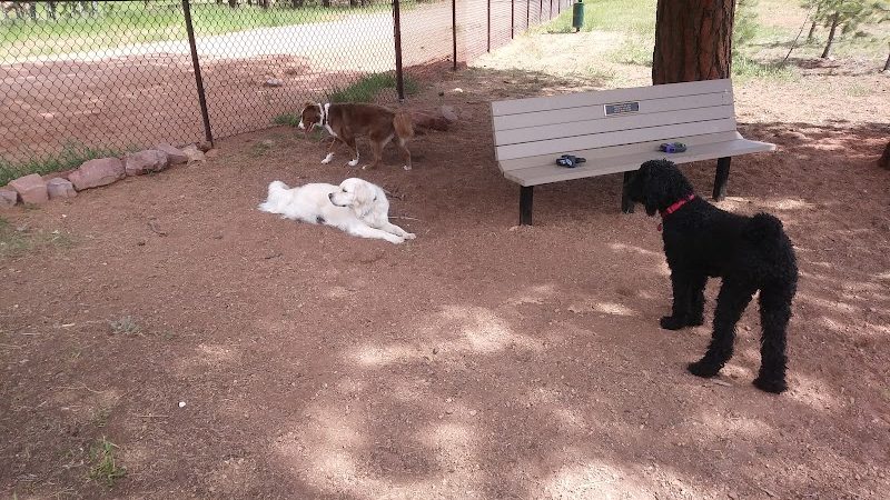 Golden Meadows Dog Park - Woodland Park, CO