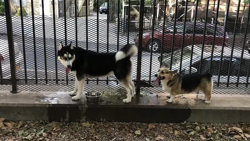 JH Crew Dog Park (Member Only) - Woodside, NY