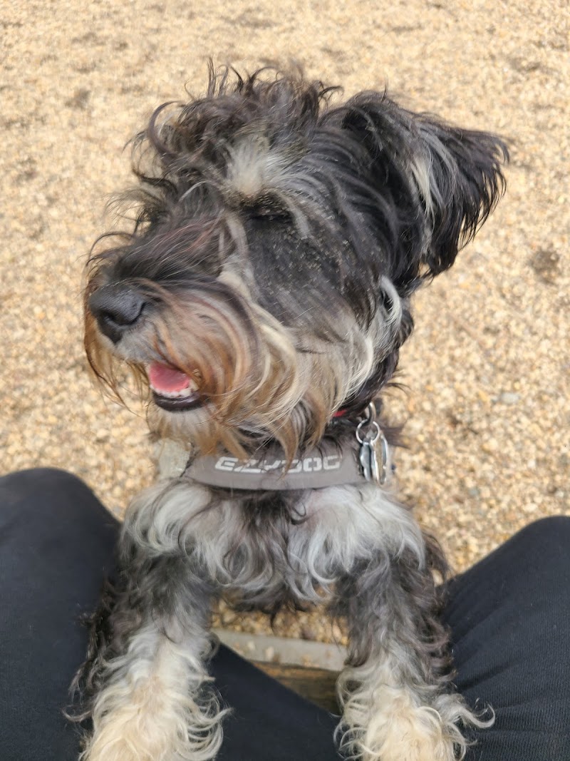 JH Crew Dog Park (Member Only) - Woodside, NY