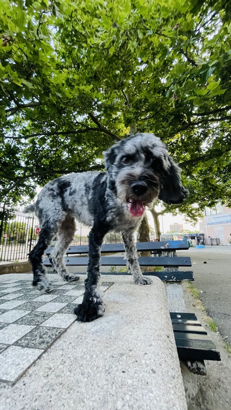 Sherry Dog Run - Woodside, NY