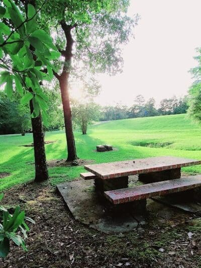 Texas Picnic Area - Woodville, TX