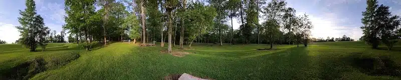 Texas Picnic Area - Woodville, TX
