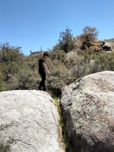 Flora Mae Park
