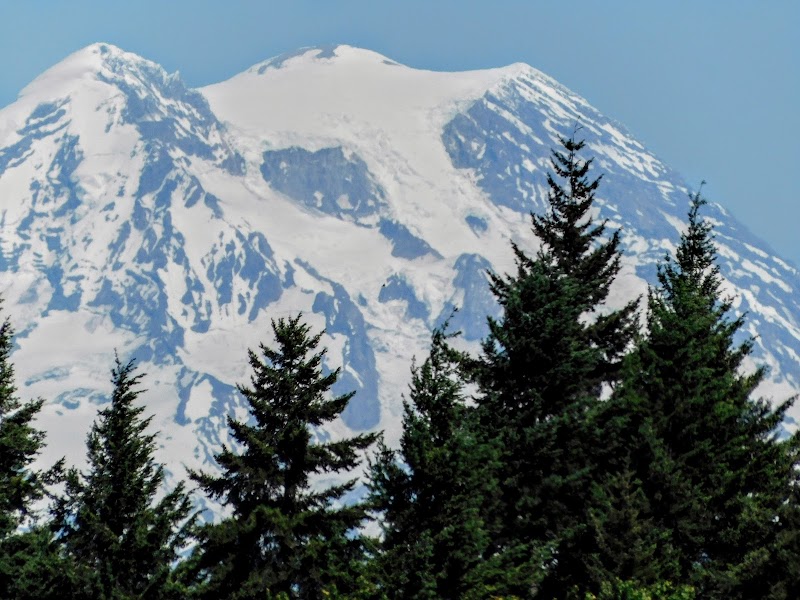 Cherry Meadows - Yelm, WA