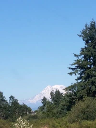 Cherry Meadows - Yelm, WA