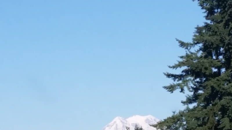 Cherry Meadows - Yelm, WA