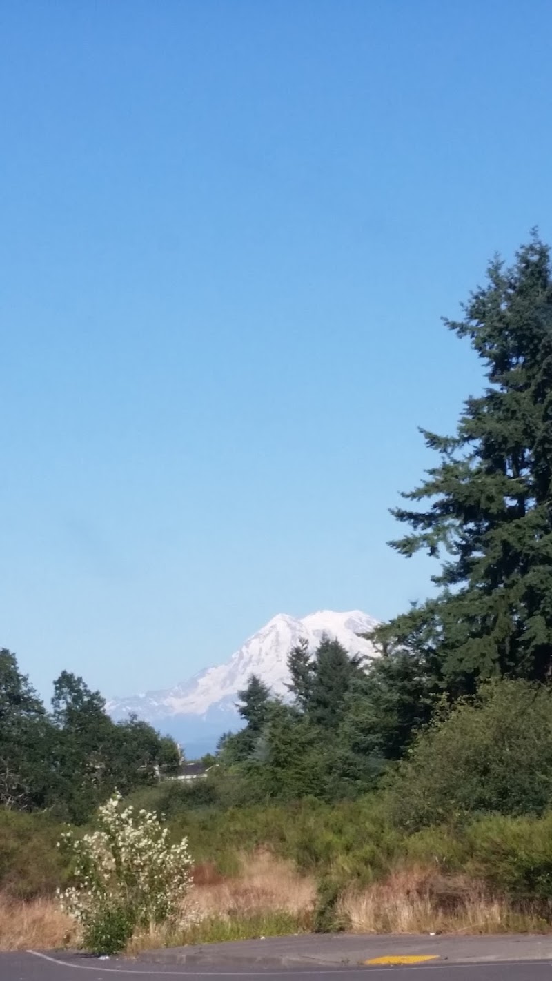 Cherry Meadows - Yelm, WA