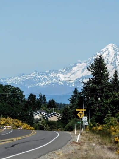 Cherry Meadows - Yelm, WA