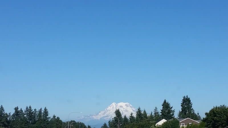 Cherry Meadows - Yelm, WA