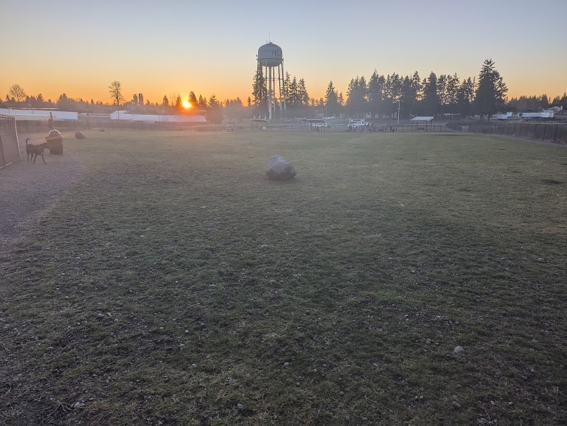 Yelm Dog Park - Yelm, WA