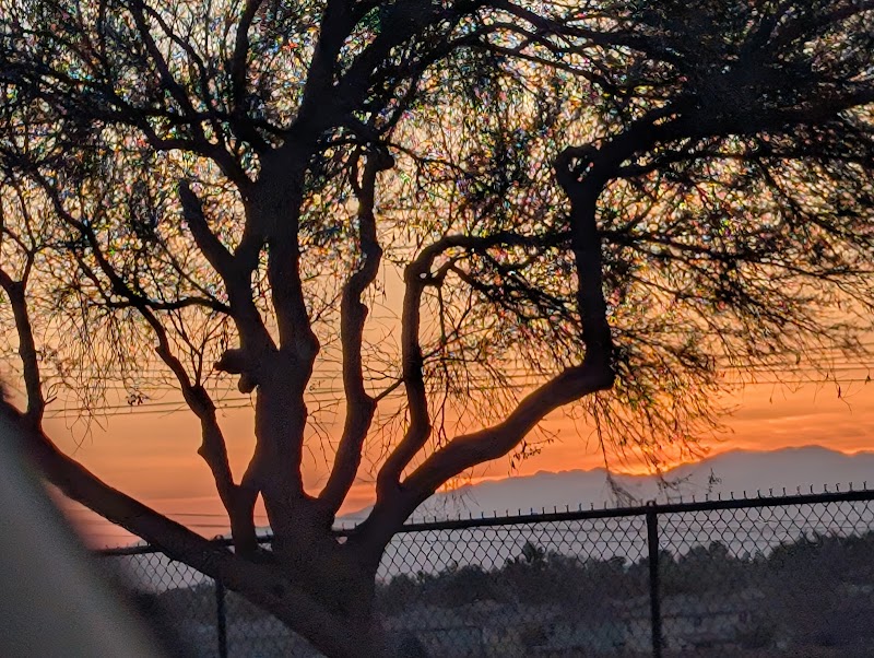 Citizens' Dog Park - Youngtown, AZ