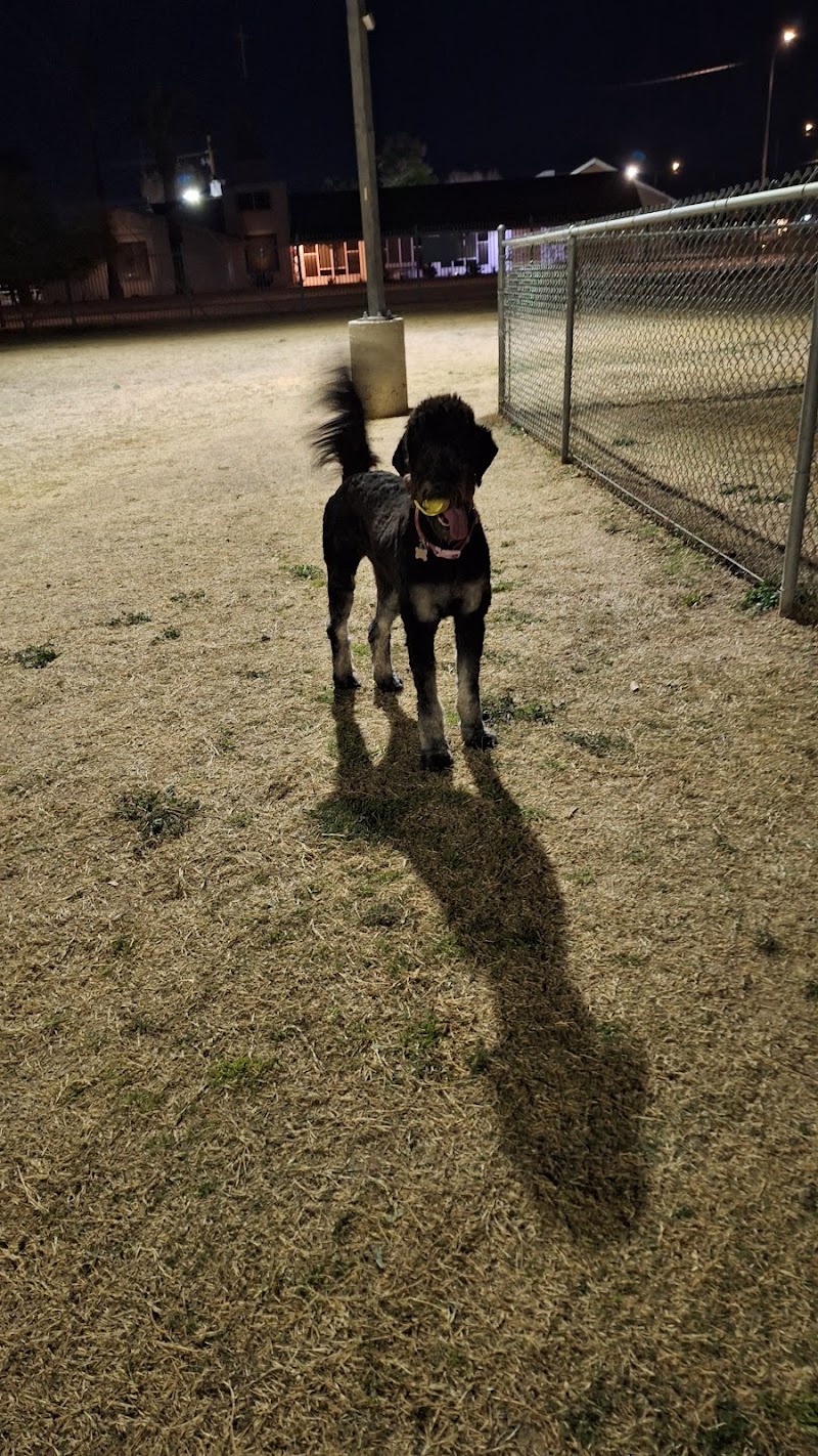 Citizens' Dog Park - Youngtown, AZ