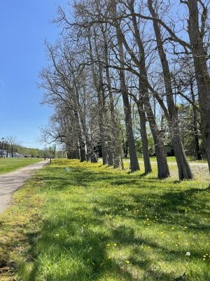 WCCC Trail Access