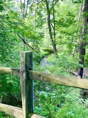WCCC Trail Access