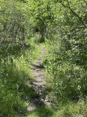 WCCC Trail Access