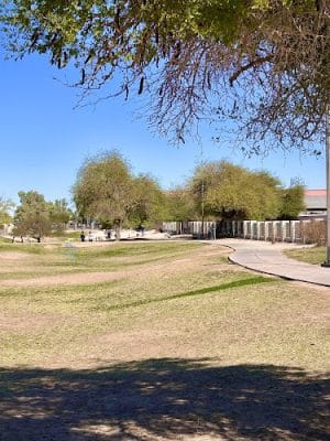 Bark Park