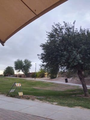 Bark Park