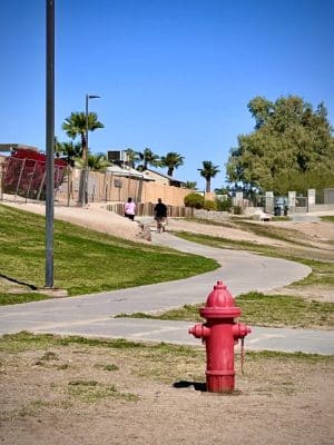 Bark Park
