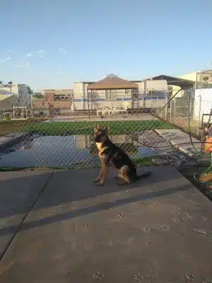 Fortuna Play & Water Dog Park