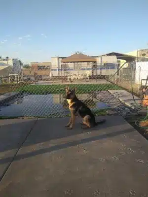 Fortuna Play & Water Dog Park