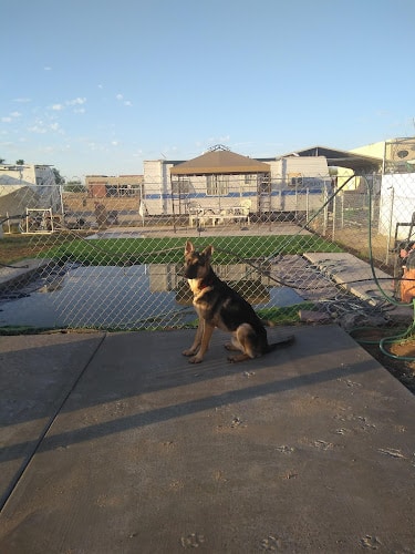 Fortuna Play & Water Dog Park