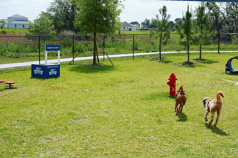Epperson Playground and Dog Park - Zephyrhills, FL