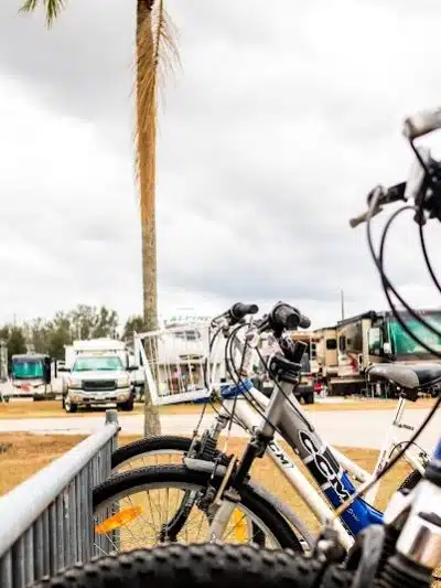 Hillcrest RV Resort - Zephyrhills, FL