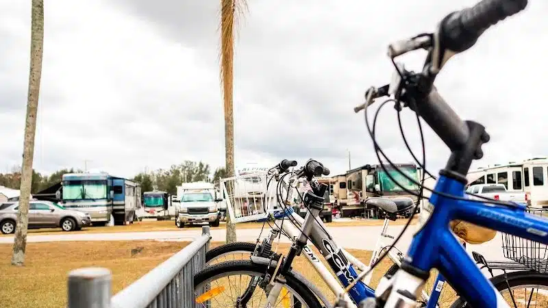 Hillcrest RV Resort - Zephyrhills, FL