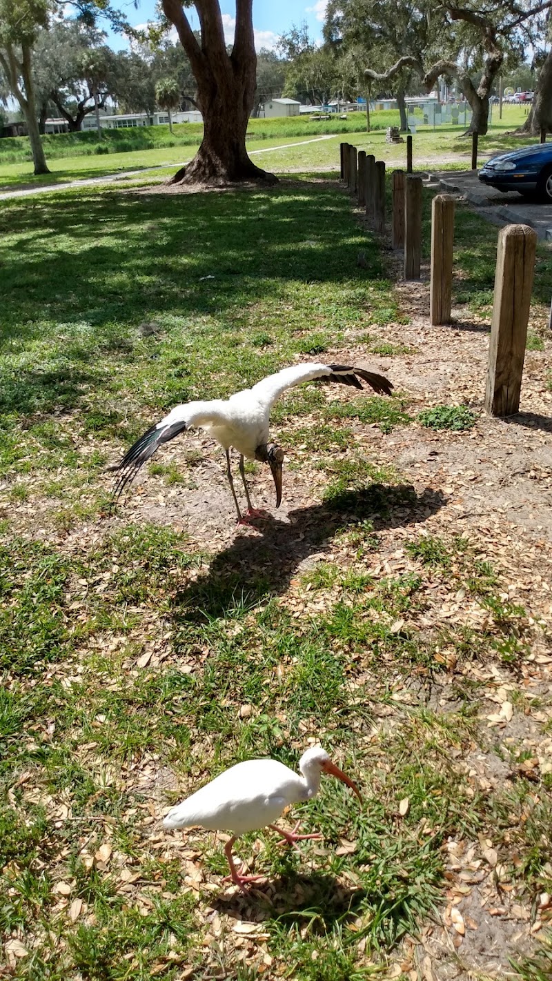 Zephyr Park - Zephyrhills, FL