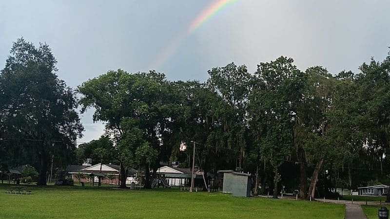 Zephyrhills Park - Zephyrhills, FL