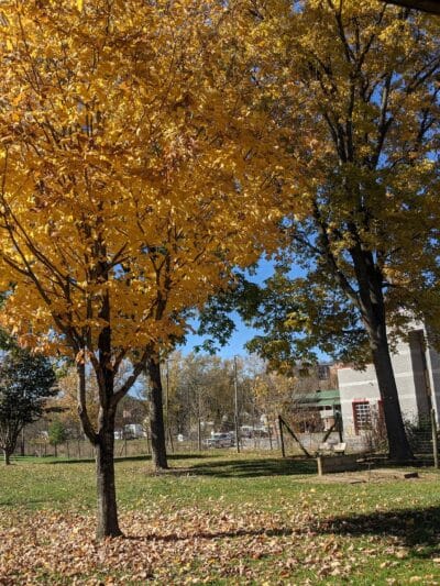 Landon Boyd Park - Abingdon, VA