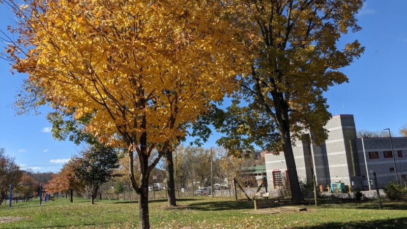 Landon Boyd Park - Abingdon, VA