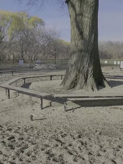 Thorndike Field Park - Arlington, MA