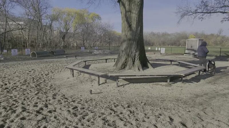 Thorndike Field Park - Arlington, MA