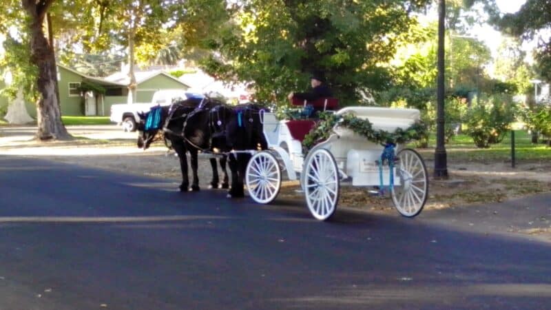 Bloss Park - Atwater, CA