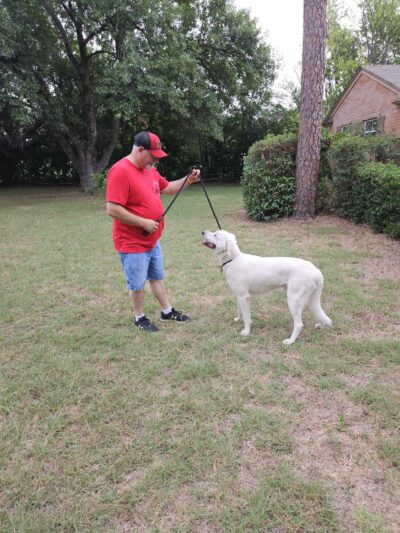 Paws for Christ K-9 Training - Azle, TX