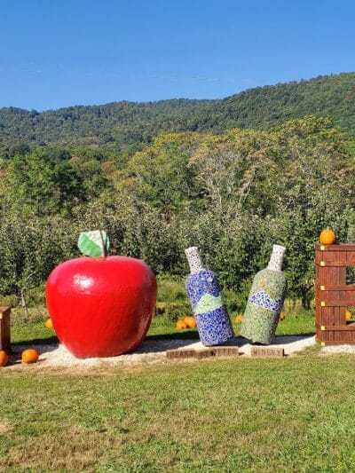 Peaks of Otter Winery - Bedford, VA