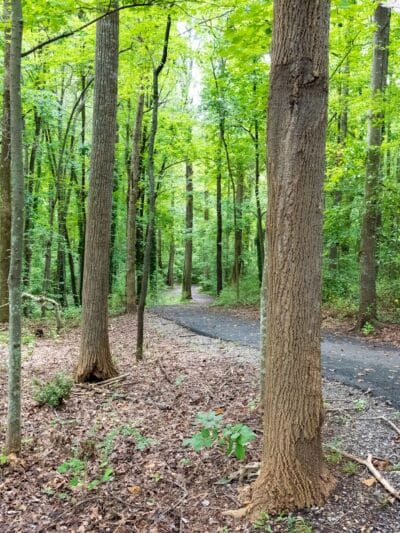 Reynolds Memorial Park - Bedford, VA
