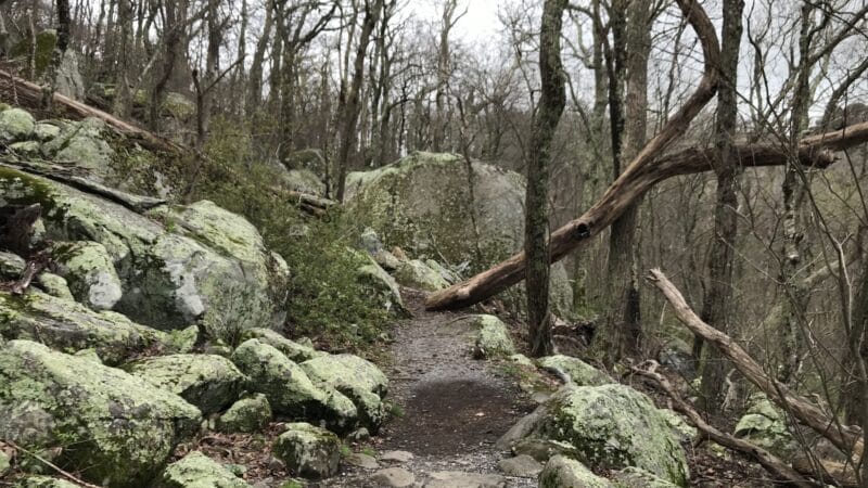 Sharp Top Mountain - Bedford, VA