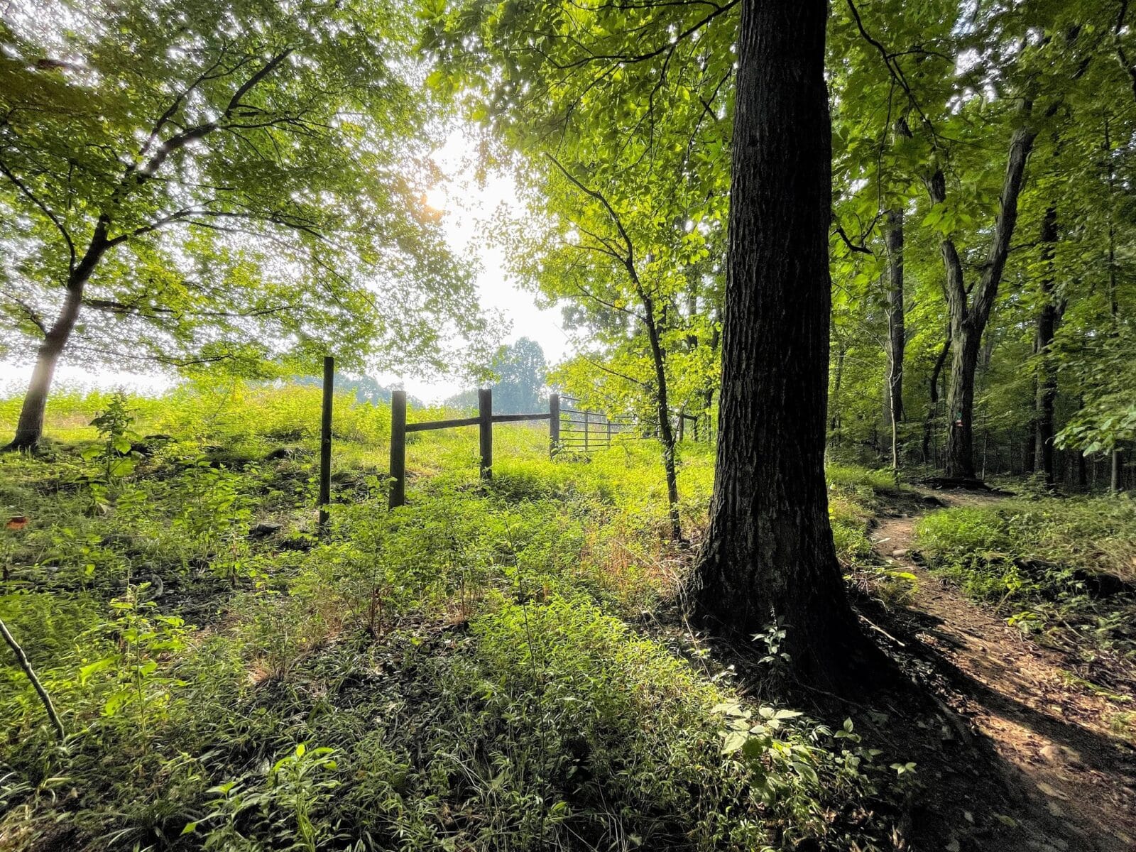 Sugar Hollow Park - Bristol, VA