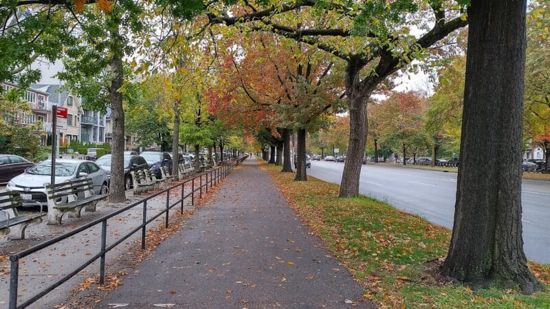 Ocean Parkway Malls - Brooklyn, NY