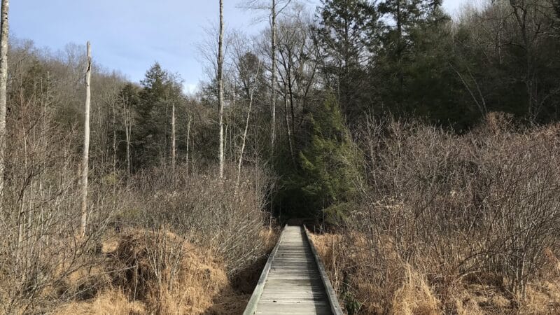Bark Camp Recreation Area - Coeburn, VA