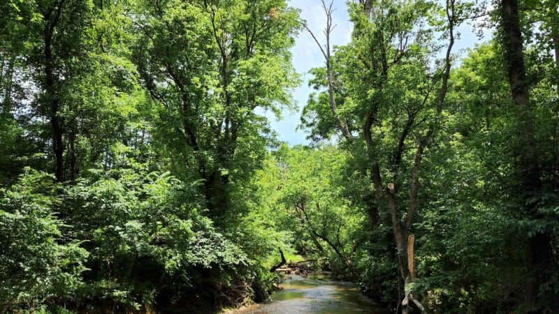 Tinker Creek - Daleville, VA