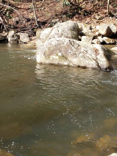 Hanging Rock Day Use Area - Dungannon, VA