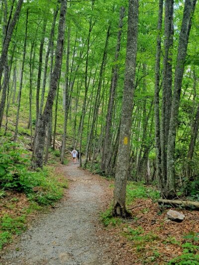 Little Stony Falls - Dungannon, VA