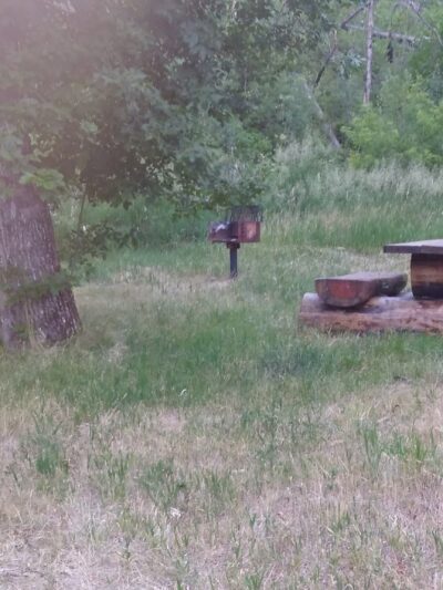 Ekalaka Park Campground - Ekalaka, MT