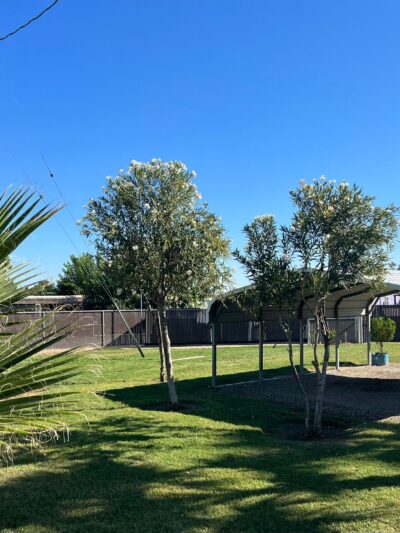 El Nido Mobile Home Park - El Nido, CA